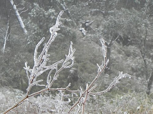 白雪紛飛的太平山