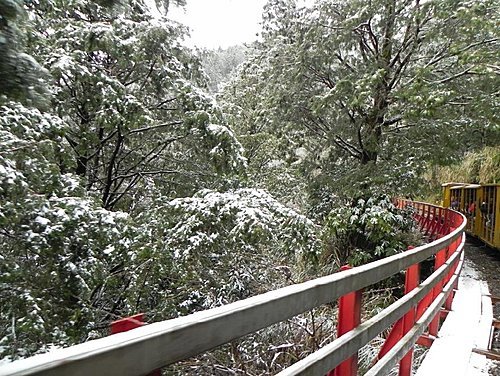 白雪紛飛的太平山