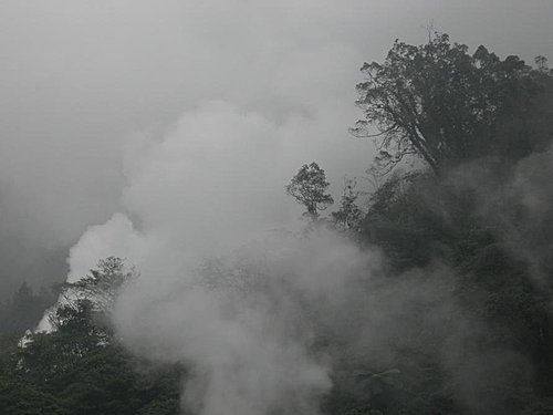 白雪紛飛的太平山