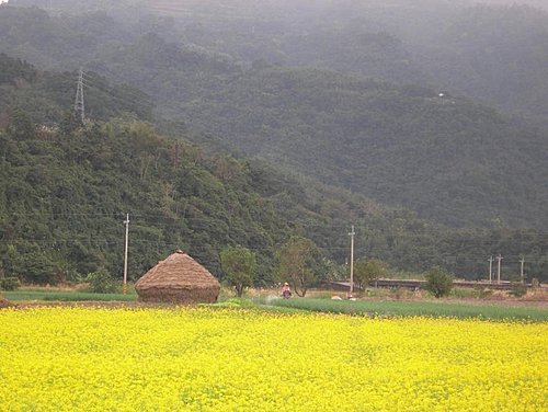 宜蘭三星稻草藝術創作園區