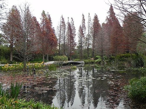 火紅的菁芳園