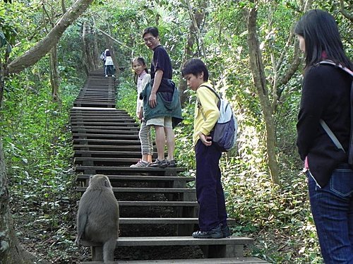 高雄壽山步道健行(柴山步道)