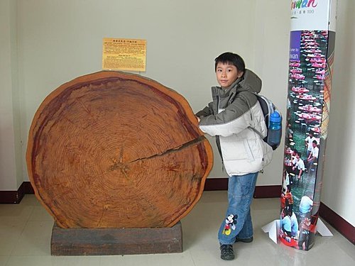 大雪山森林遊樂區賞楓