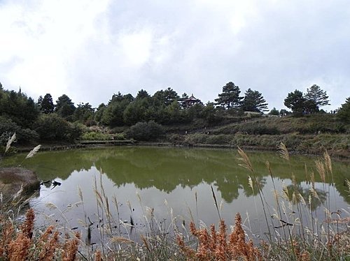 大雪山森林遊樂區賞楓