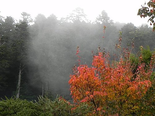 大雪山森林遊樂區賞楓