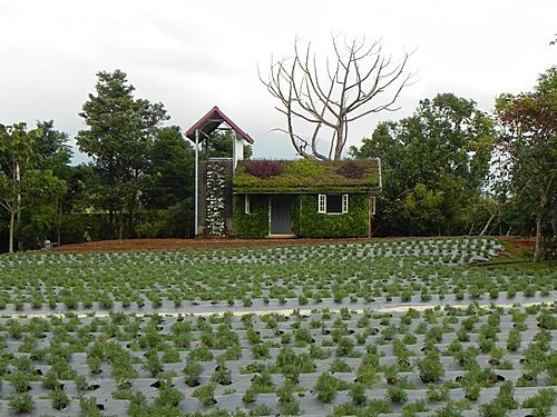 花露休閒農場(精油博物館)