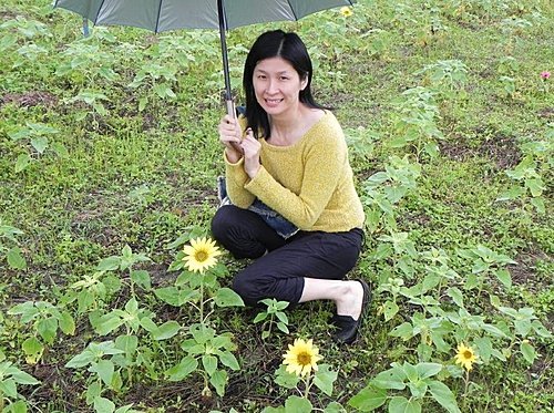 雨中的苗栗銅鑼杭菊芋頭節