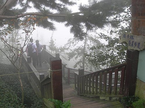 雲霧飄渺的南投武岫農園