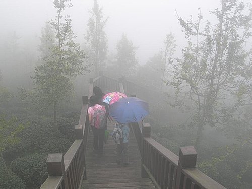 雲霧飄渺的南投武岫農園