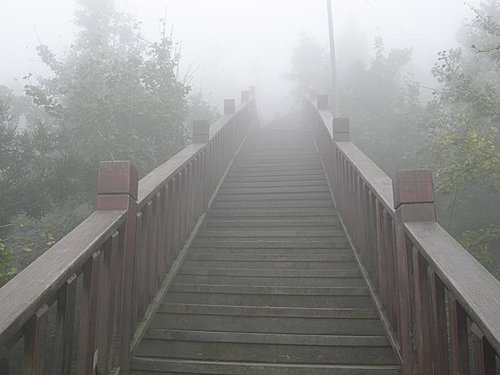 雲霧飄渺的南投武岫農園