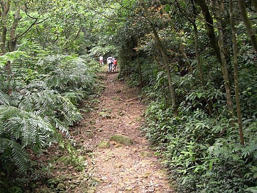 台北汐止新山夢湖登山步道