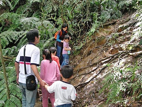 台北汐止新山夢湖登山步道