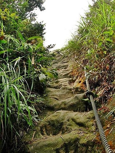 台北汐止新山夢湖登山步道