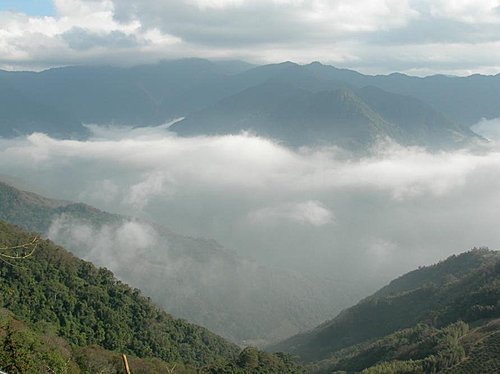 苗栗橫龍古道賞楓