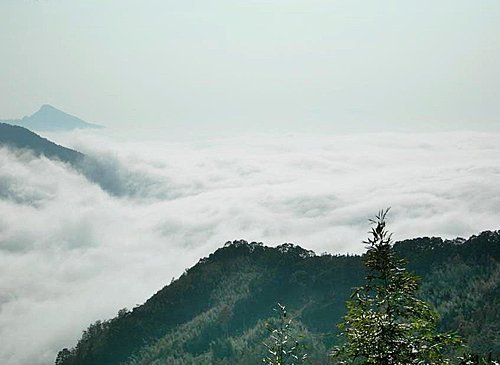 苗栗橫龍古道賞楓