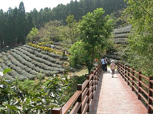 新竹山上人家森林農場