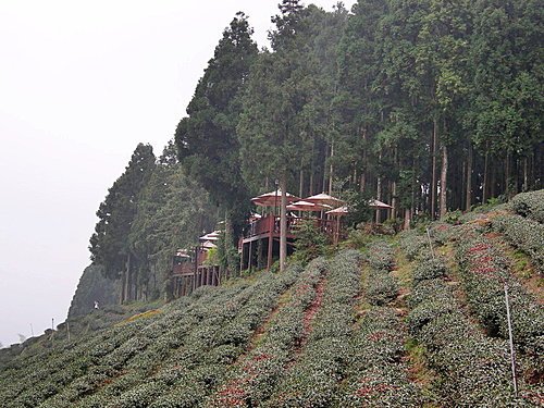 新竹山上人家森林農場