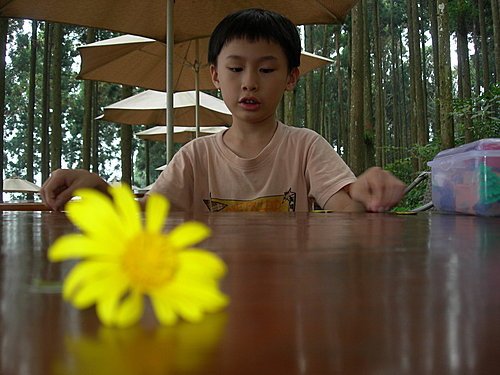 新竹山上人家森林農場