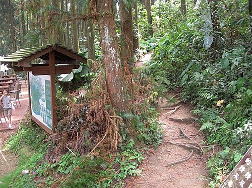 新竹山上人家森林農場