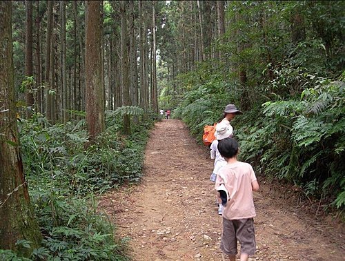 新竹山上人家森林農場