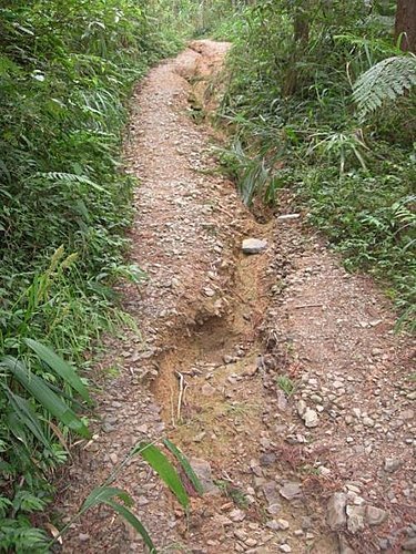 新竹山上人家森林農場