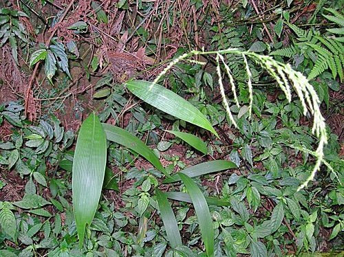 新竹山上人家森林農場