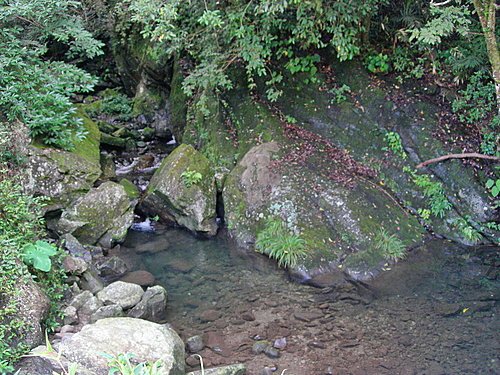 【新竹尖石鄉】鴛鴦谷瀑布群(水田林道)