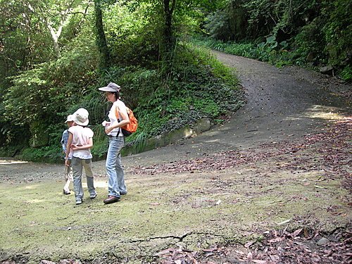 【新竹尖石鄉】鴛鴦谷瀑布群(水田林道)