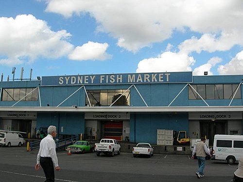 澳洲雪梨魚市場(Sydney fish market)