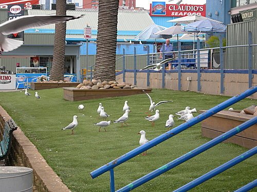 澳洲雪梨魚市場(Sydney fish market)