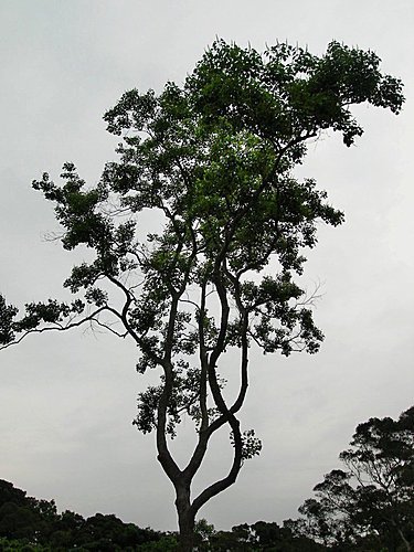 新竹青青草原隨意拍