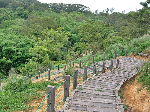 新竹青青草原隨意拍