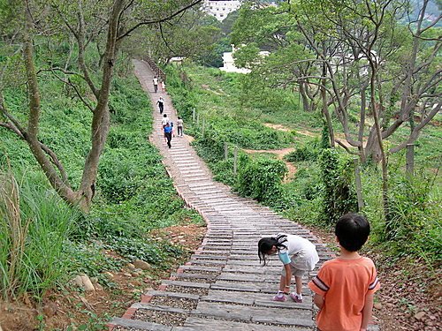 新竹青青草原隨意拍