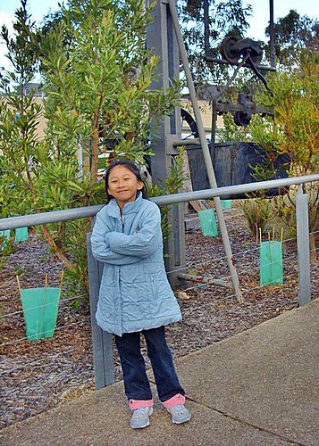 【澳洲雪梨】藍山國家公園(Blue Moutains)
