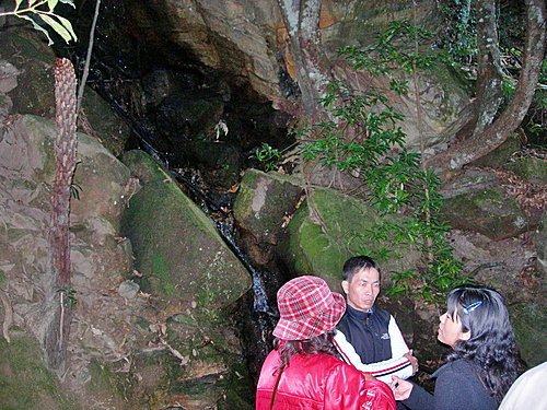 【澳洲雪梨】藍山國家公園(Blue Moutains)