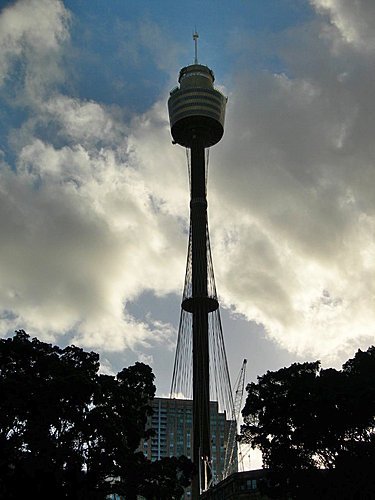 澳洲雪梨塔(AMP Tower)