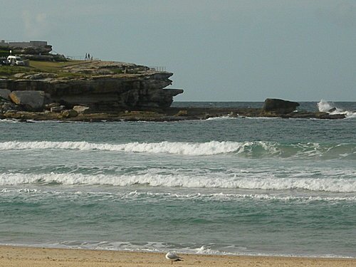 【澳洲雪梨】邦黛海灘(bondi beach)