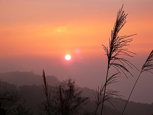 阿里山塔山夕照