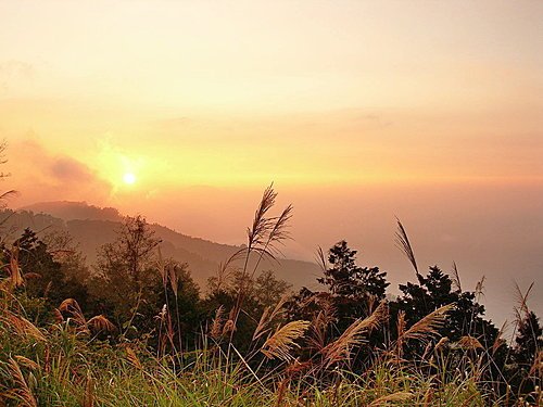 阿里山塔山夕照