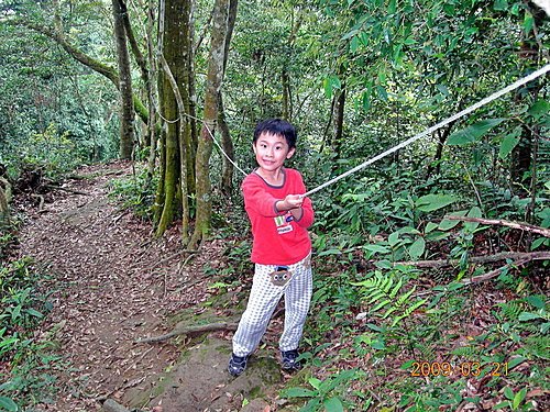 新竹五指山步道