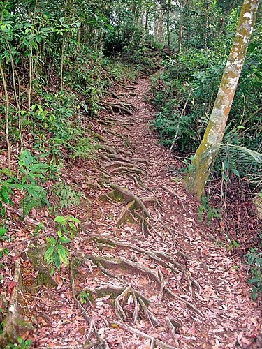 新竹五指山步道