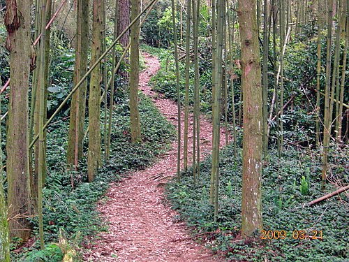 新竹五指山步道