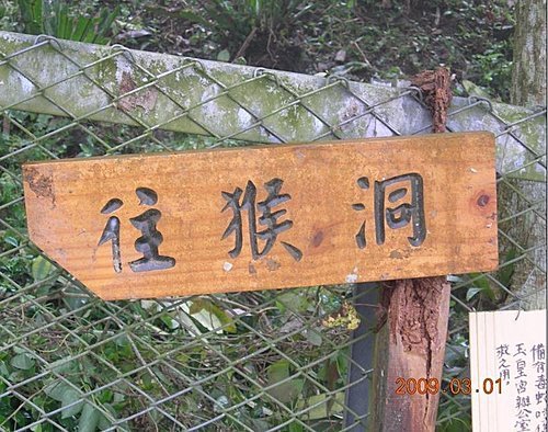 新竹五指山橫向步道