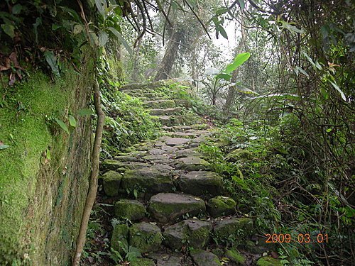 新竹五指山橫向步道