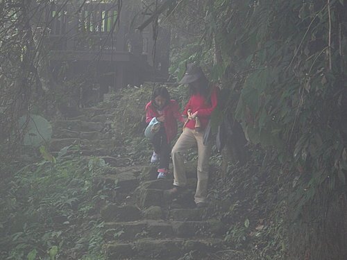 新竹五指山橫向步道