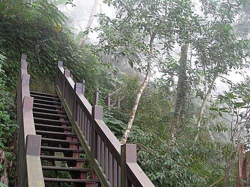新竹五指山橫向步道