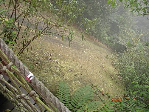 新竹五指山橫向步道