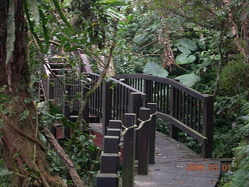 新竹五指山橫向步道