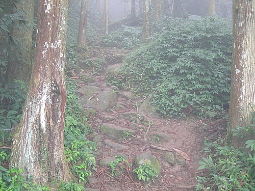 新竹五指山橫向步道