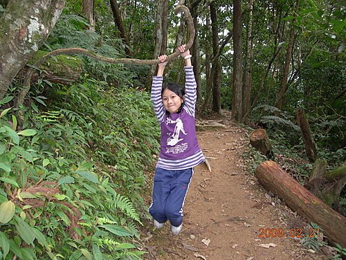 台北烏來內洞森林遊樂區